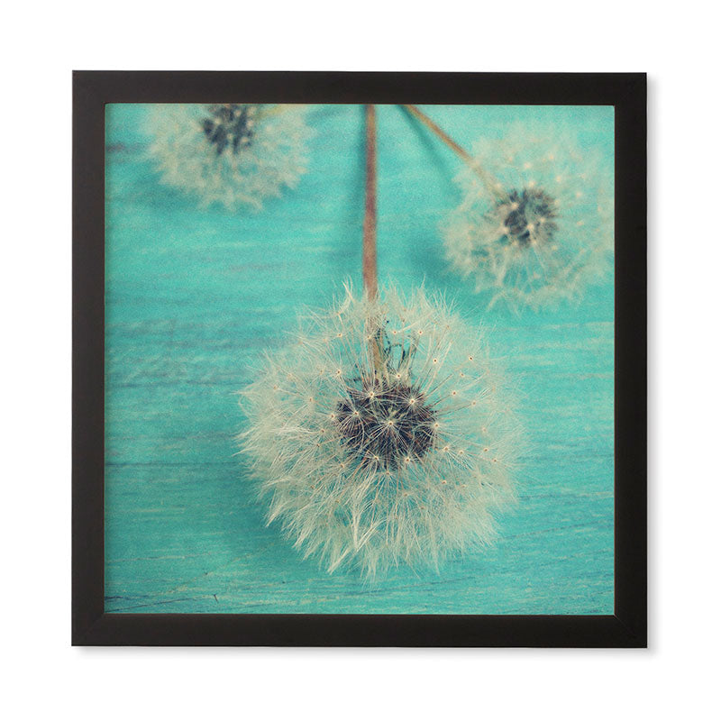 Olivia St Claire Three Wishes Framed Wall Art