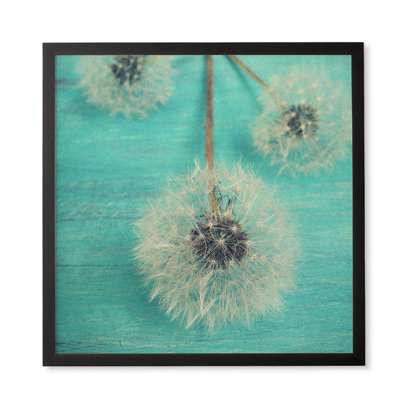 Olivia St Claire Three Wishes Framed Wall Art