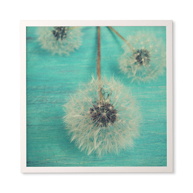 Olivia St Claire Three Wishes Framed Wall Art