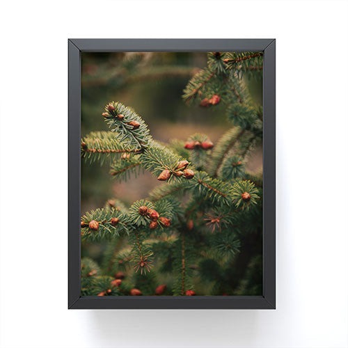 Hannah Kemp Spruce Tips Framed Mini Art Print