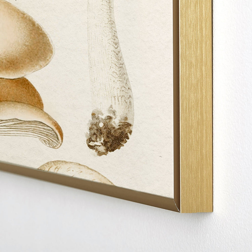 Gal Design Mushrooms Collection Square Metal Framed Art Print