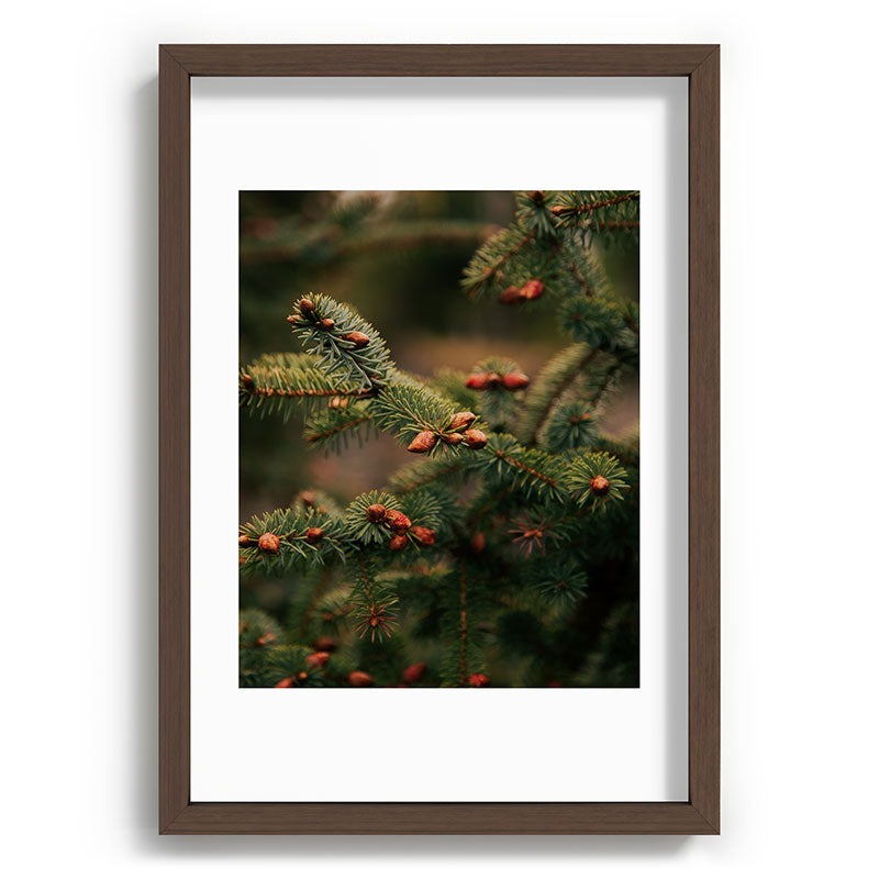Hannah Kemp Spruce Tips Recessed Framing Rectangle