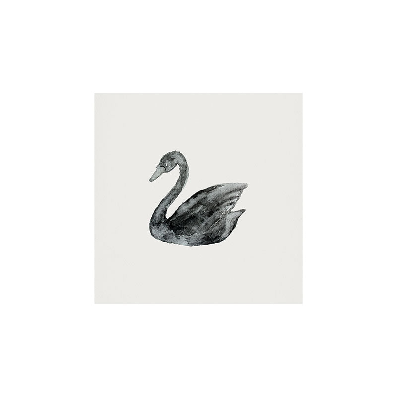 Pink Water Elegant black white swan Art Print