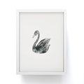 Pink Water Elegant black white swan Framed Mini Art Print