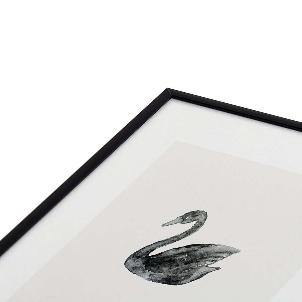 Pink Water Elegant black white swan Metal Framed Art Print