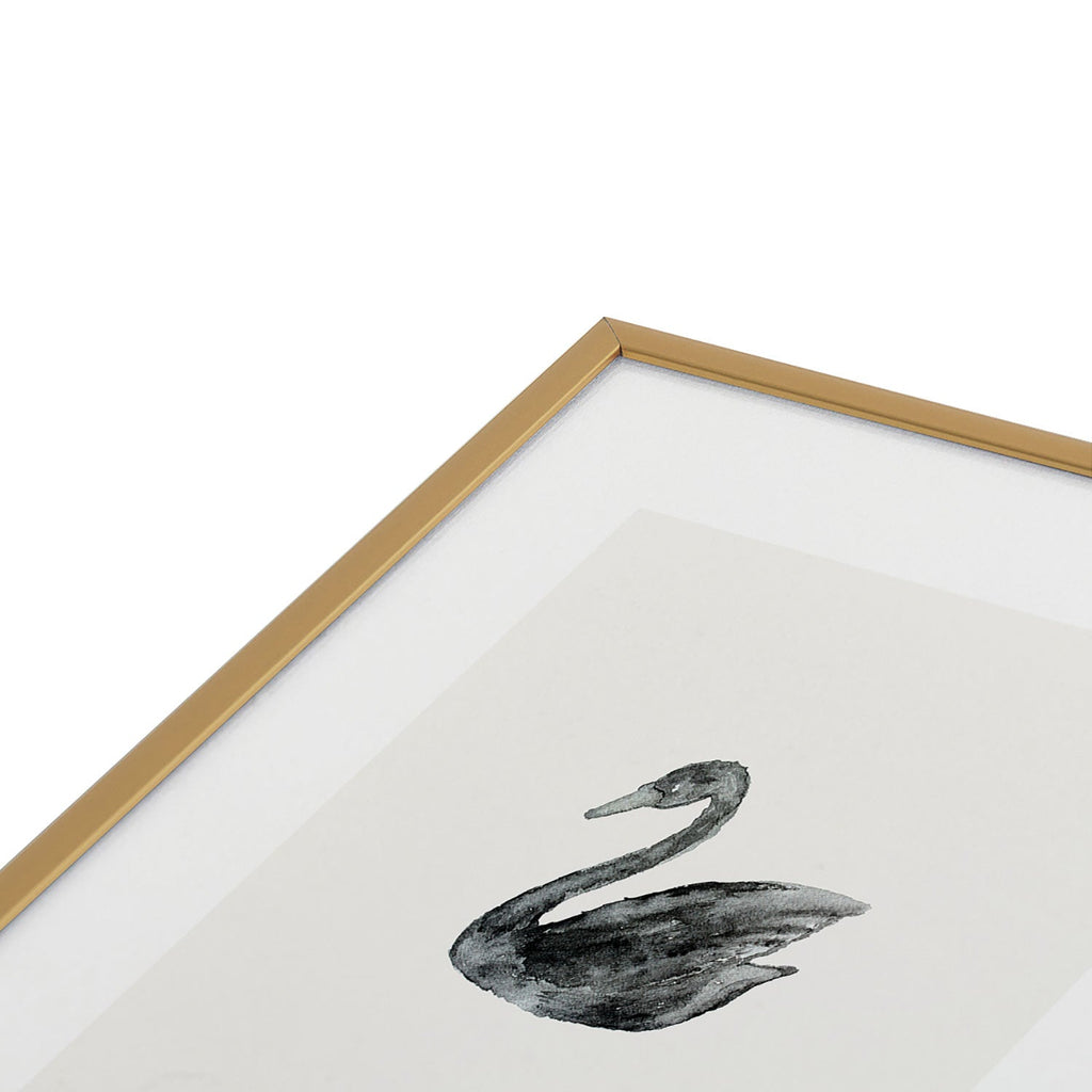Pink Water Elegant black white swan Metal Framed Art Print