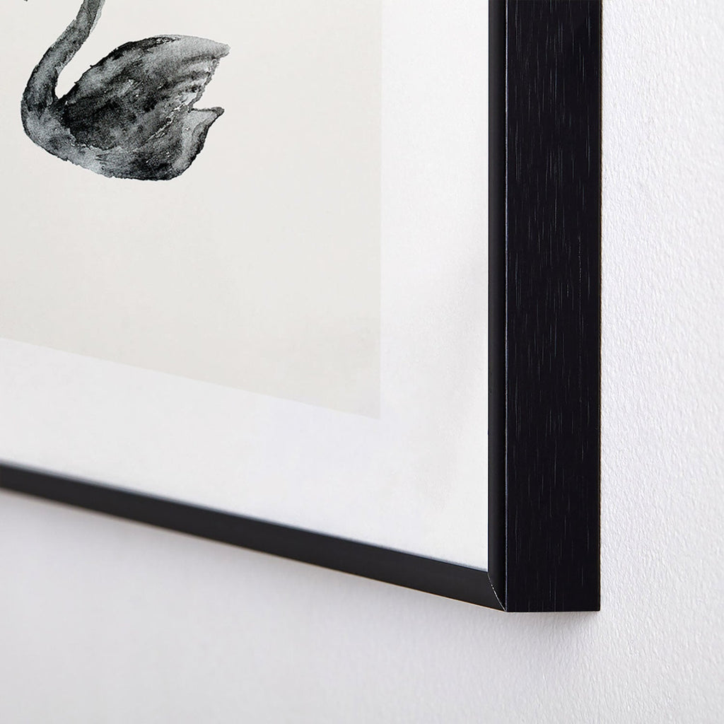 Pink Water Elegant black white swan Metal Framed Art Print