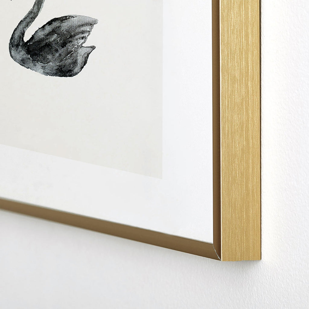 Pink Water Elegant black white swan Metal Framed Art Print
