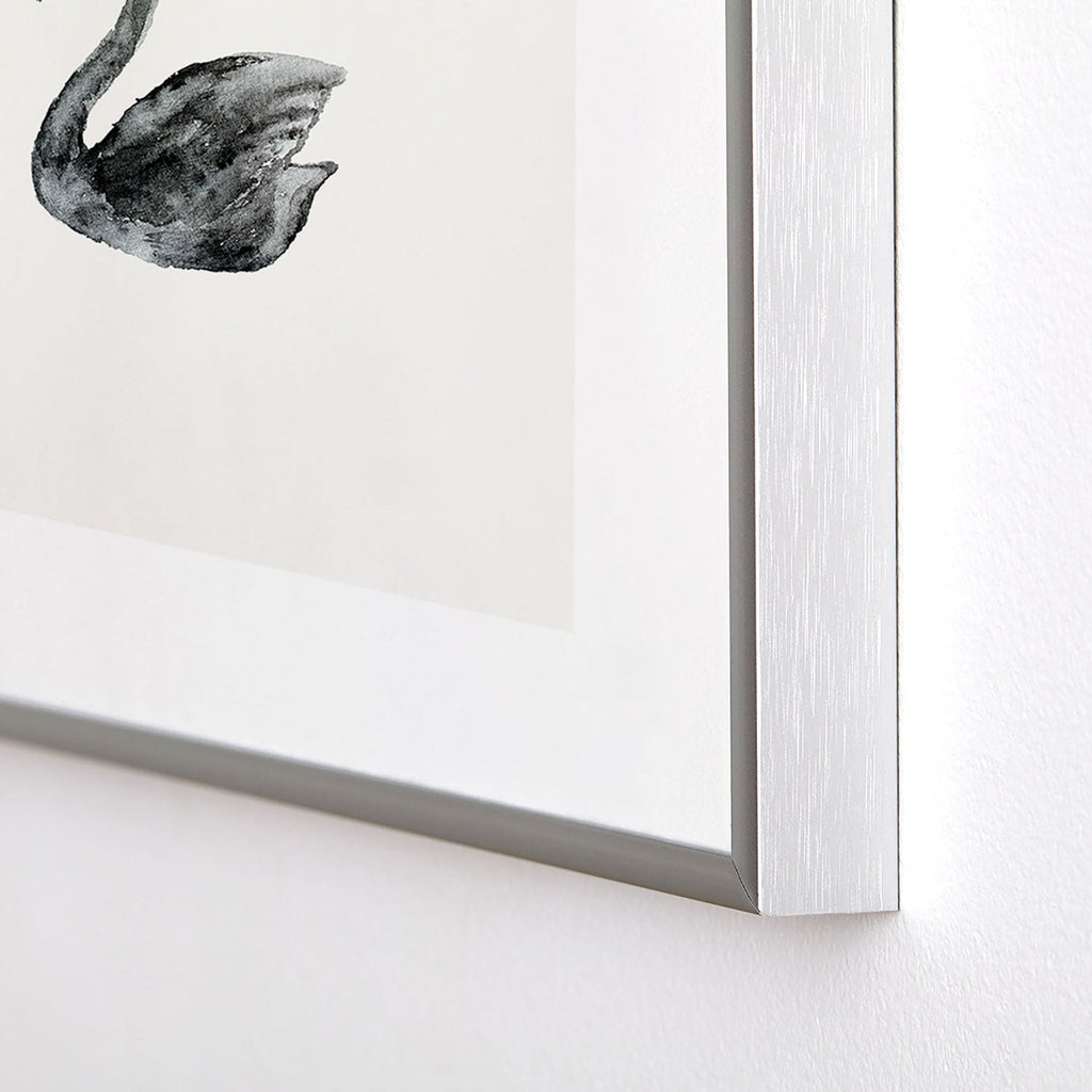 Pink Water Elegant black white swan Metal Framed Art Print