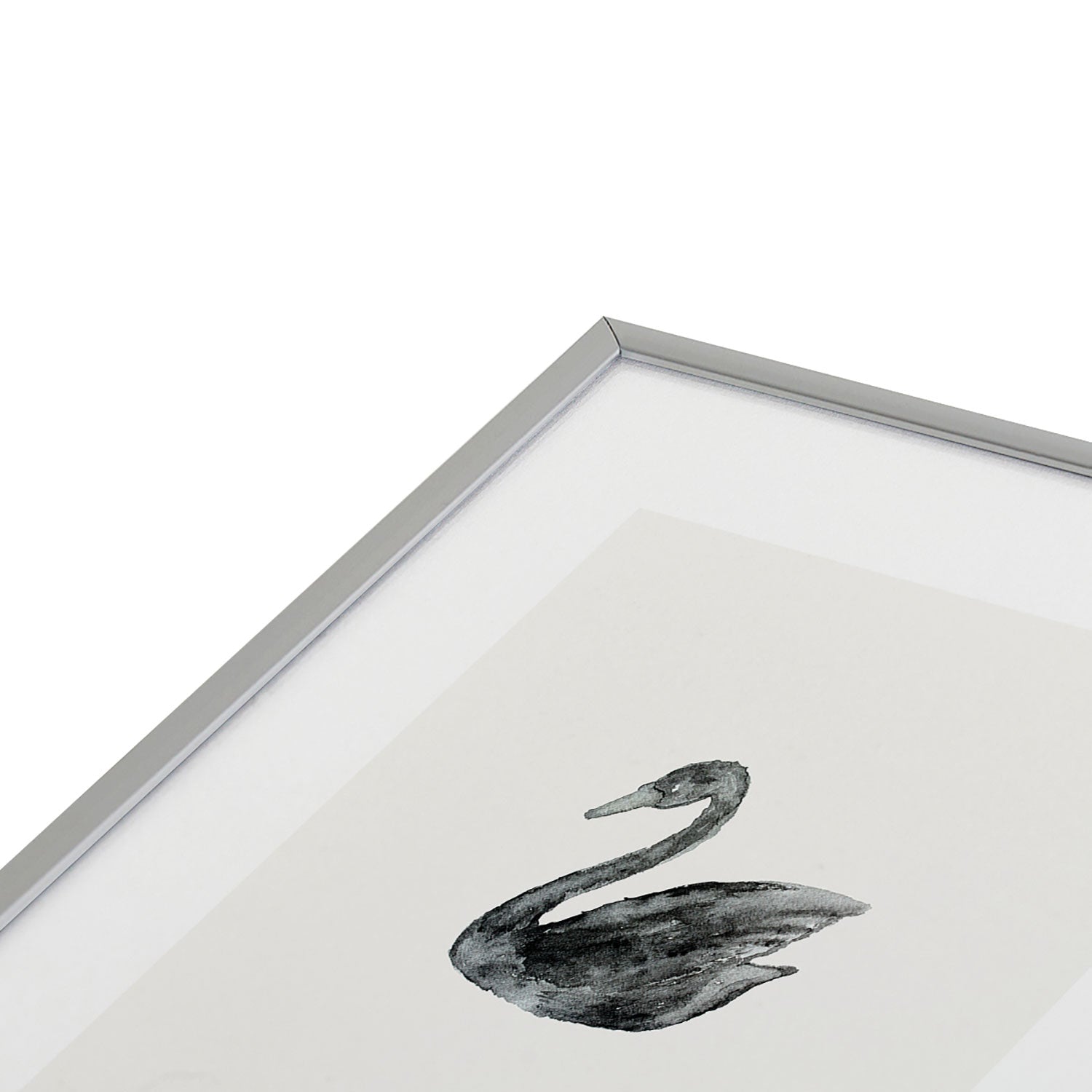 Pink Water Elegant black white swan Metal Framed Art Print