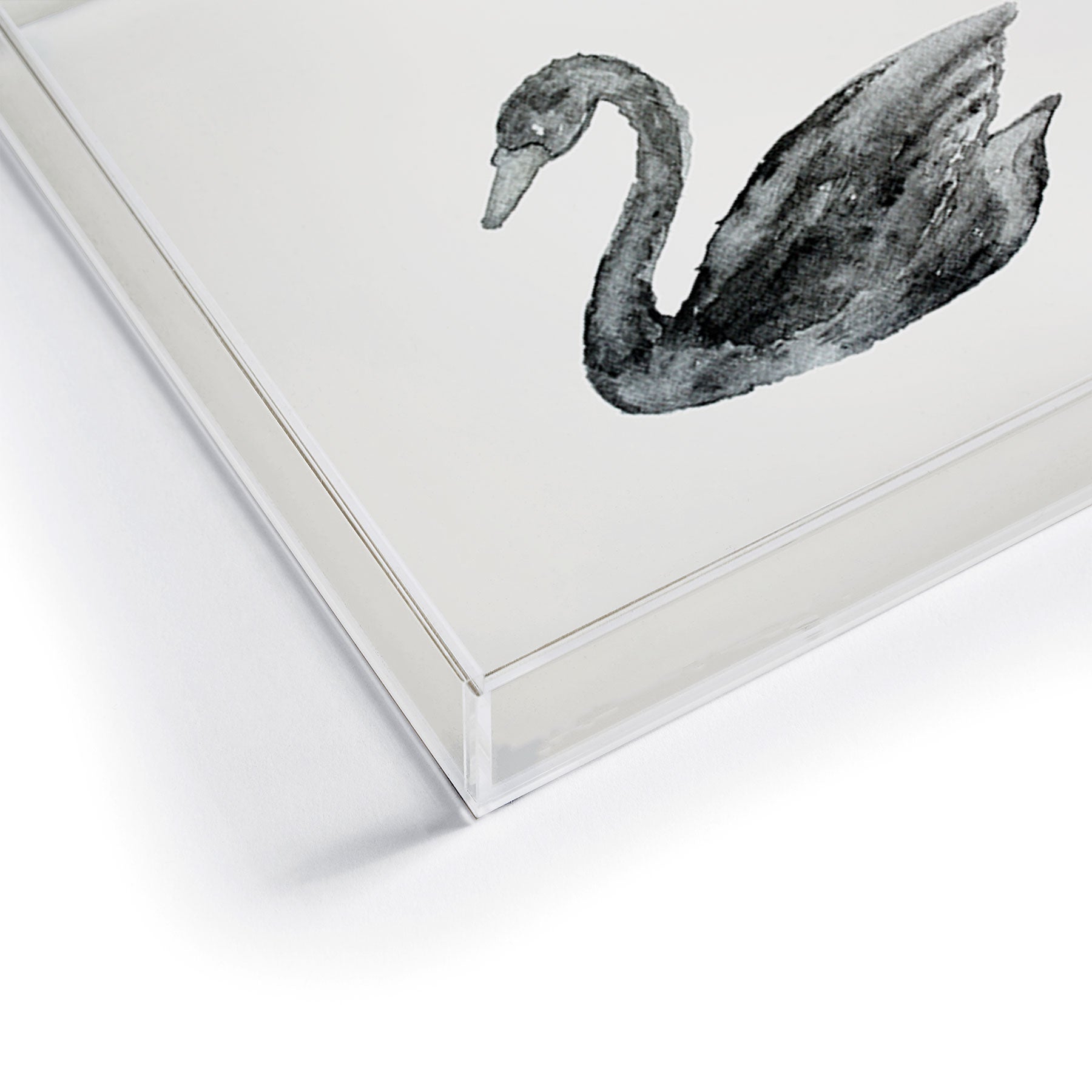 Pink Water Elegant black white swan Acrylic Tray