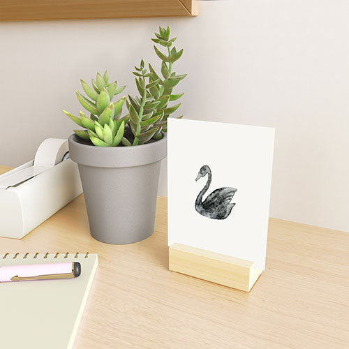 Pink Water Elegant black white swan Mini Art Print