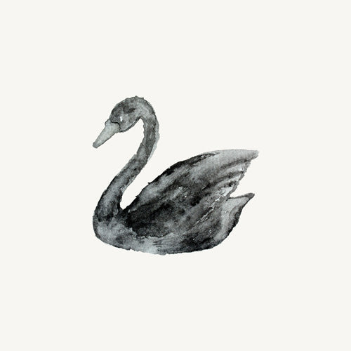 Pink Water Elegant black white swan Shower Curtain
