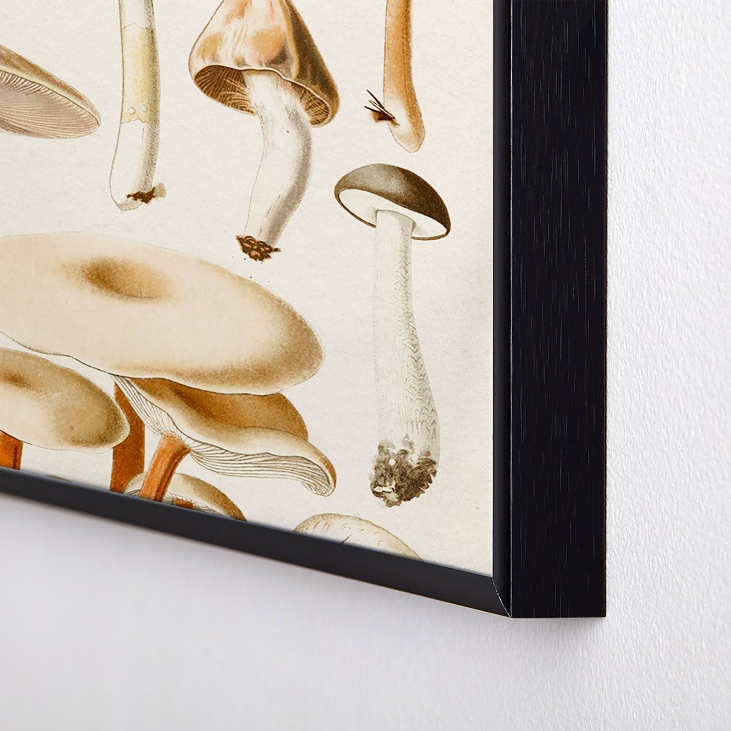 Gal Design Mushrooms Collection Square Metal Framed Art Print