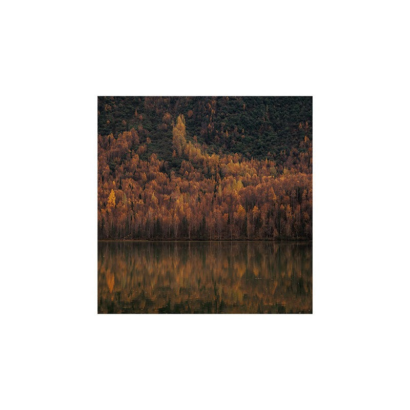 Hannah Kemp Fall Lake Art Print