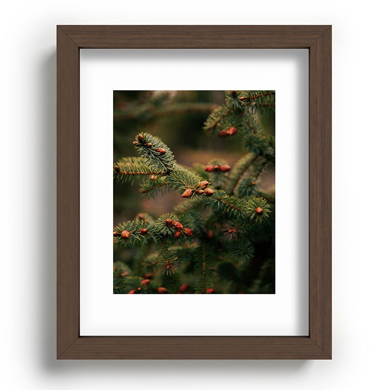 Hannah Kemp Spruce Tips Recessed Framing Rectangle