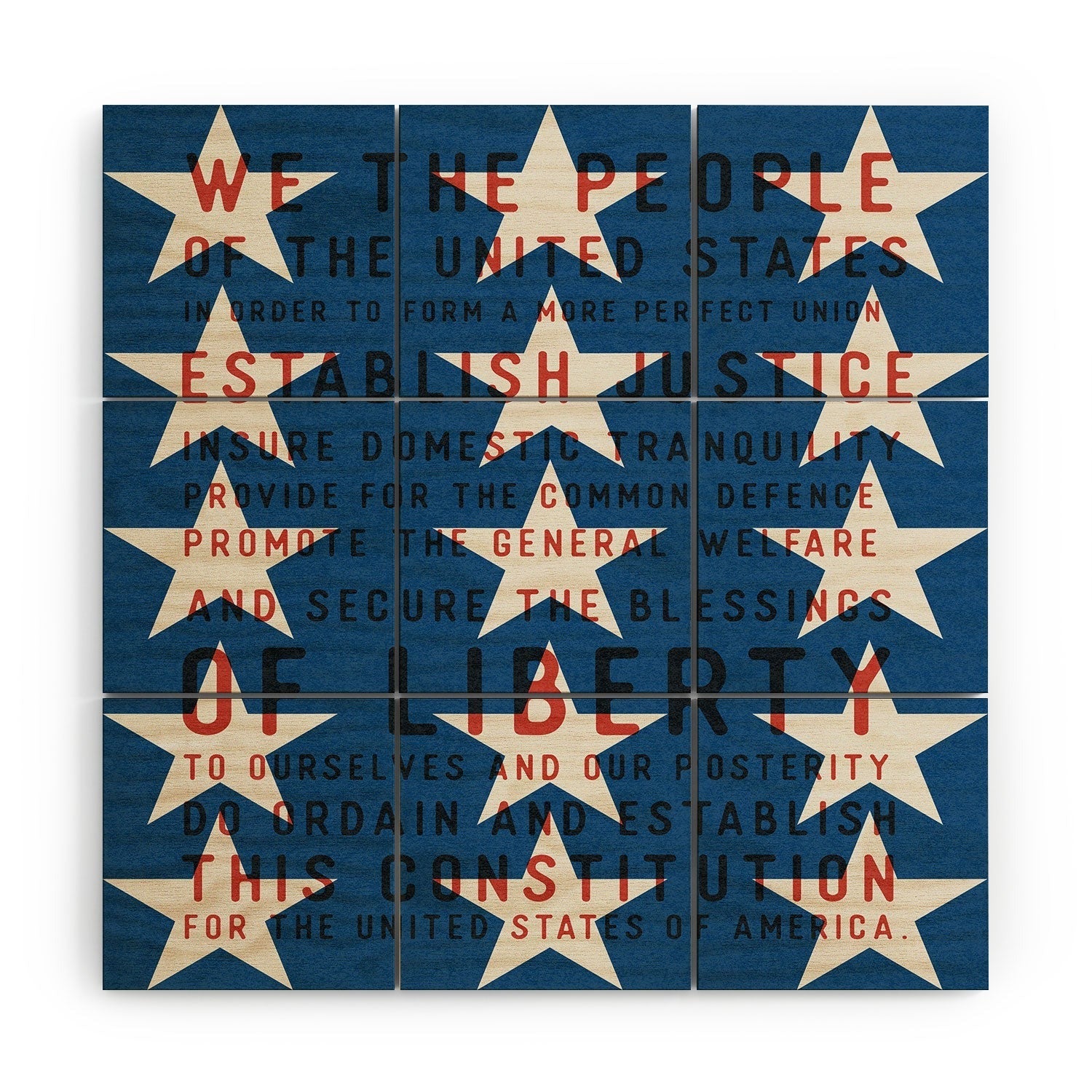 DENY Designs Starred Preamble Wood Wall Mural