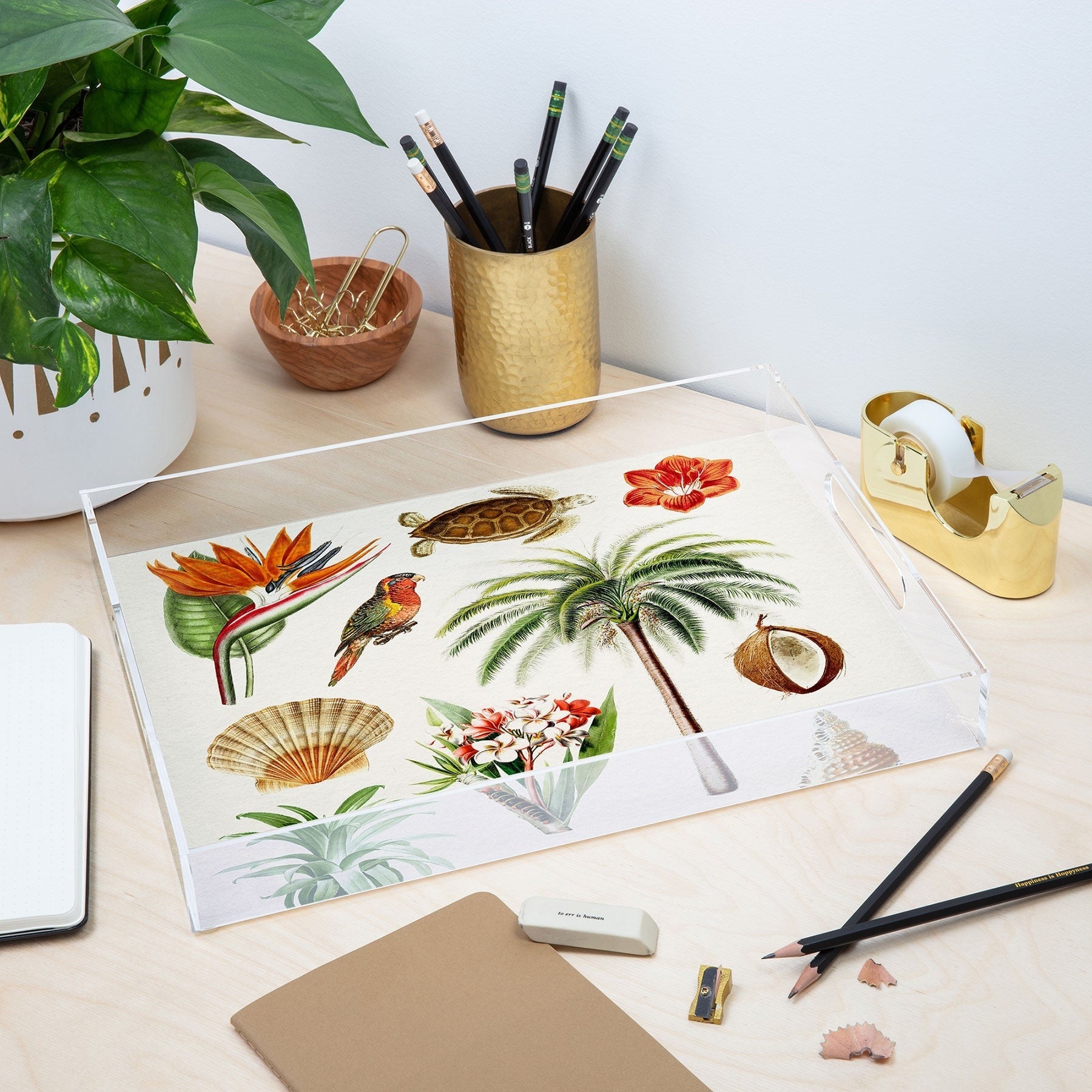 Gal Design Hawaii Collection Acrylic Tray