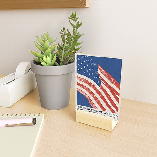 DENY Designs Stars n Stripes Semiquincentennial Mini Art Print