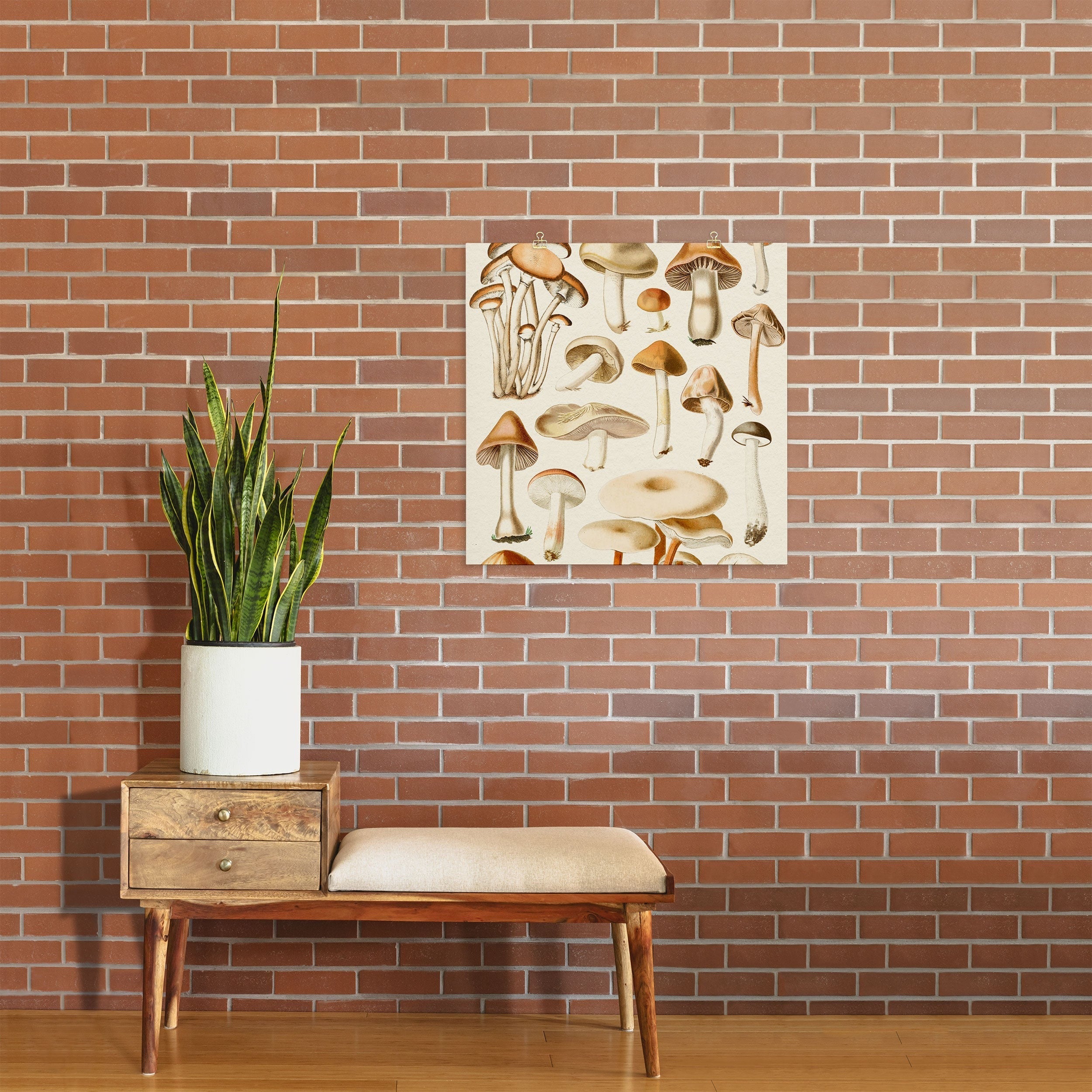 Gal Design Mushrooms Collection Art Print