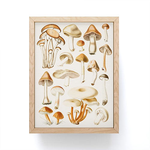 Gal Design Mushrooms Collection Framed Mini Art Print