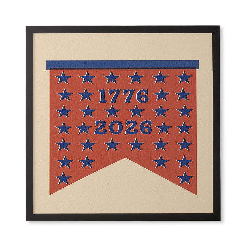 DENY Designs Star Banner Framed Wall Art