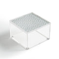 CoastL Studio Palm Forest Coastal Blue Acrylic Box