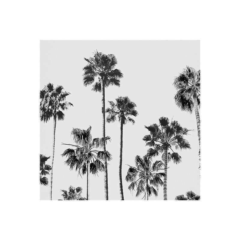 Gal Design Black And White Palms Art Print