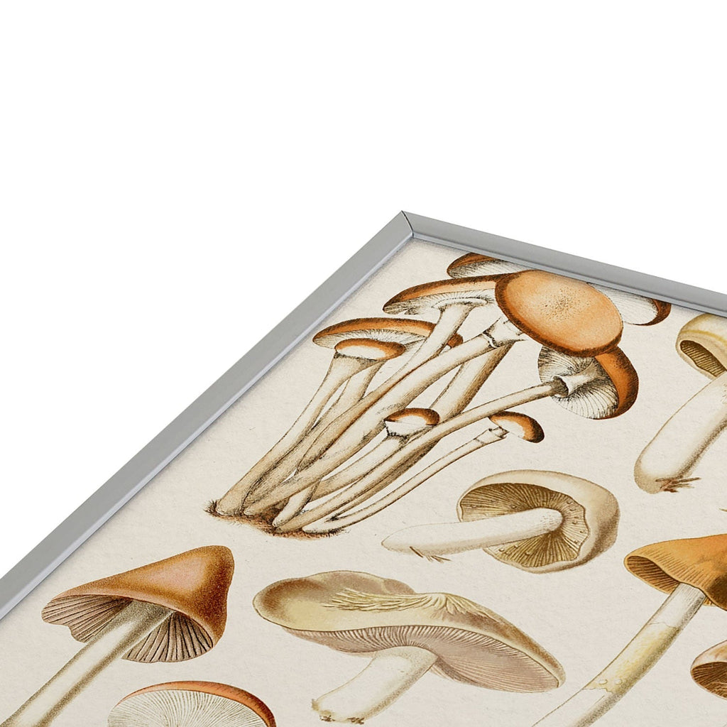 Gal Design Mushrooms Collection Square Metal Framed Art Print