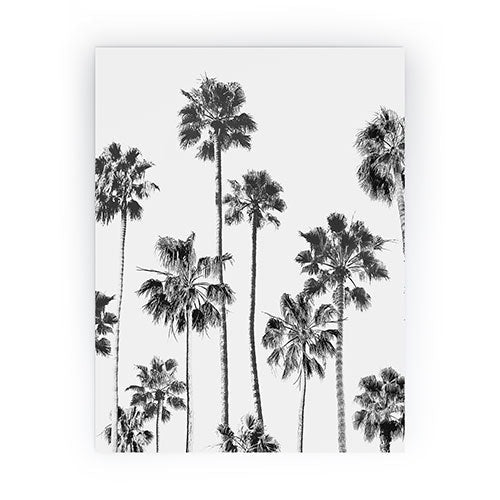 Gal Design Black And White Palms Mini Art Print