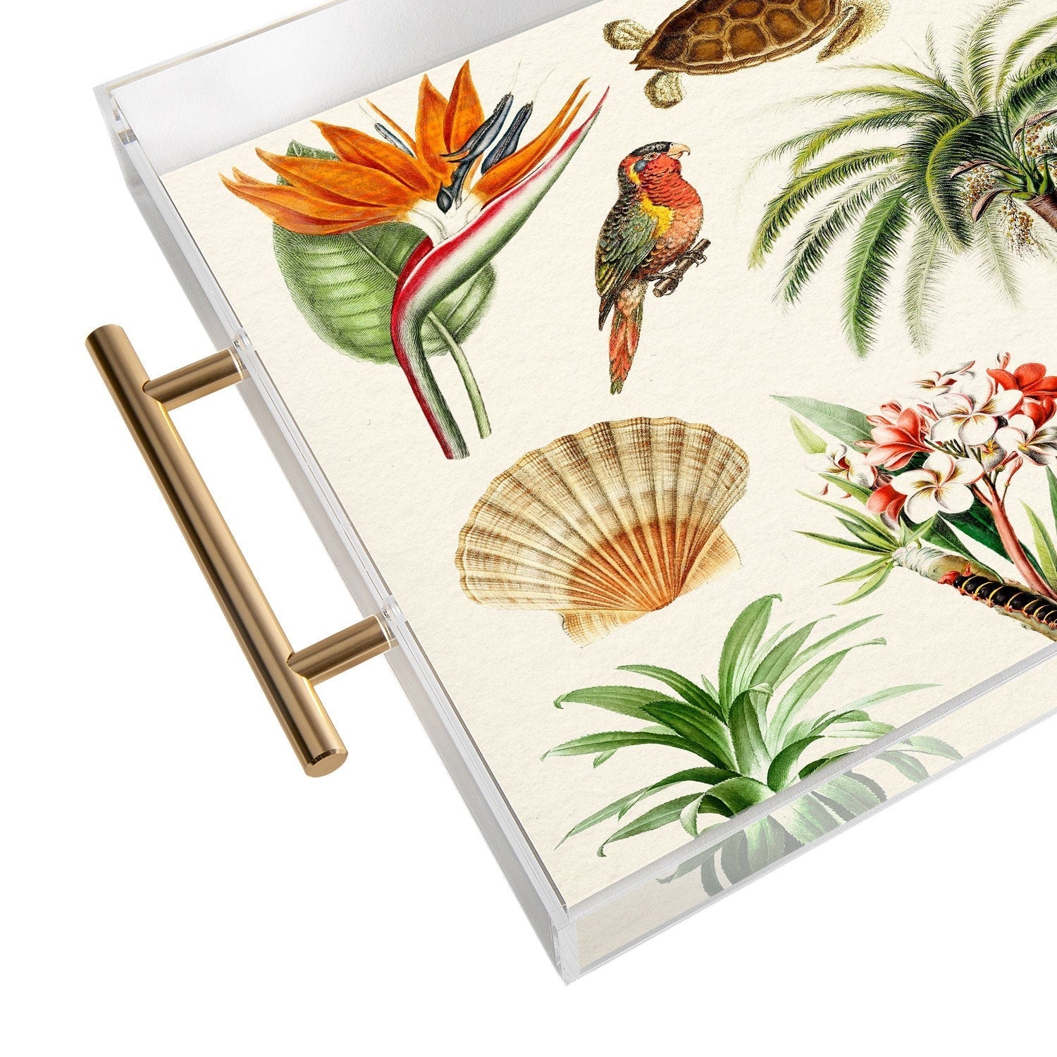 Gal Design Hawaii Collection Acrylic Tray