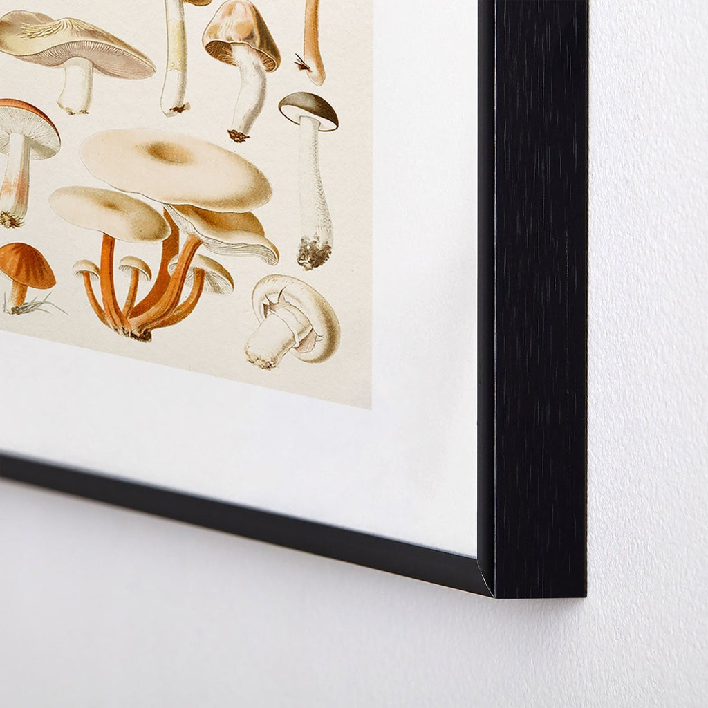 Gal Design Mushrooms Collection Metal Framed Art Print