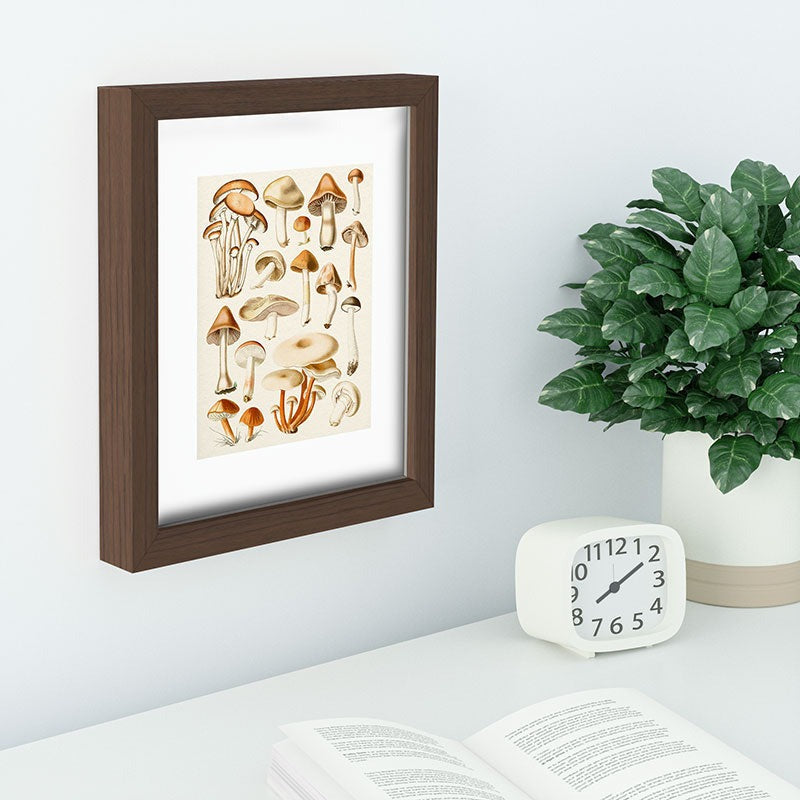 Gal Design Mushrooms Collection Recessed Framing Rectangle