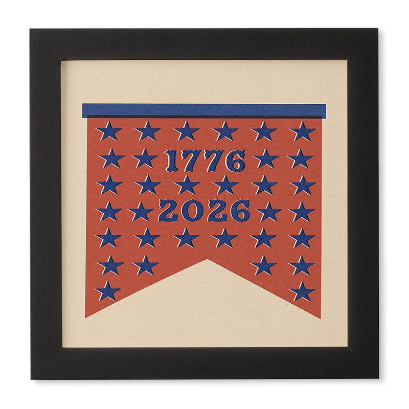 DENY Designs Star Banner Framed Wall Art