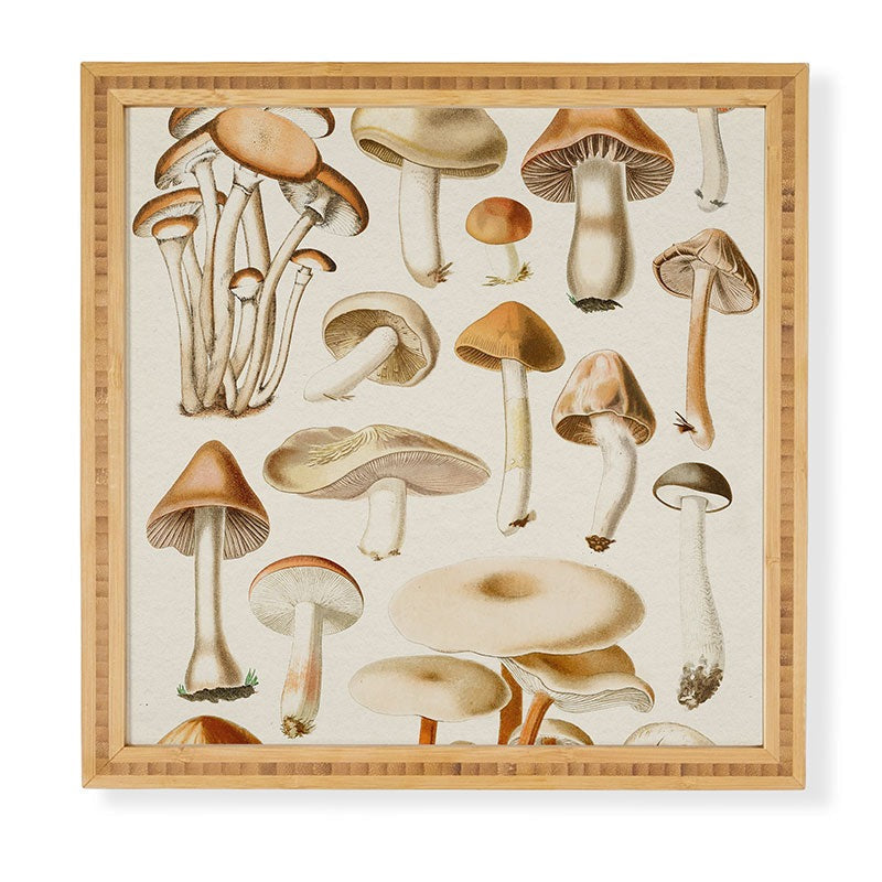 Gal Design Mushrooms Collection Framed Wall Art
