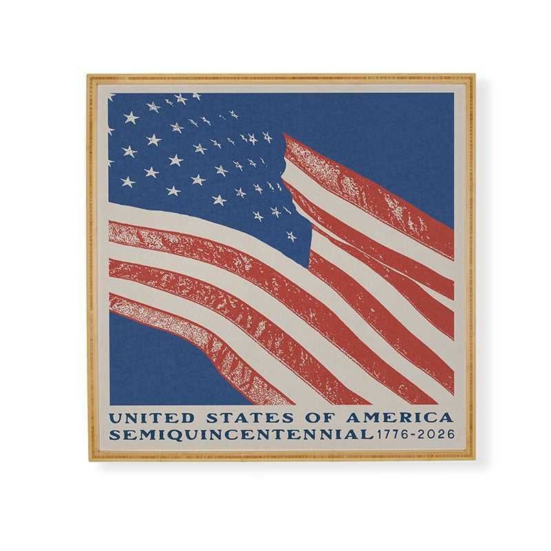 DENY Designs Stars n Stripes Semiquincentennial Framed Wall Art