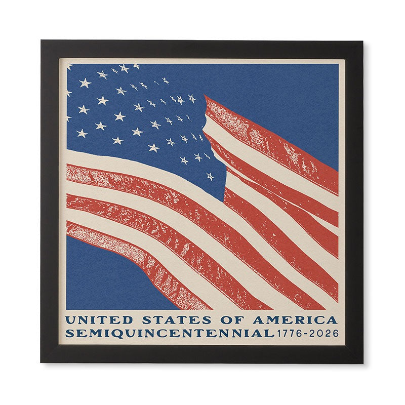 DENY Designs Stars n Stripes Semiquincentennial Framed Wall Art