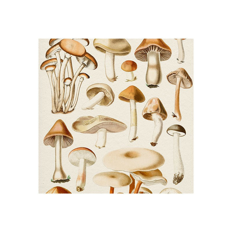 Gal Design Mushrooms Collection Art Print