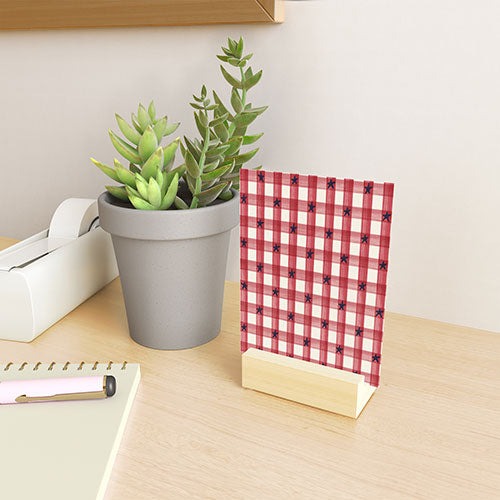 DENY Designs Red Gingham plus Stars Mini Art Print