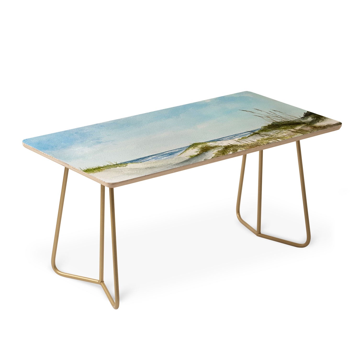 Rosie Brown Beyond the Dunes Coffee Table