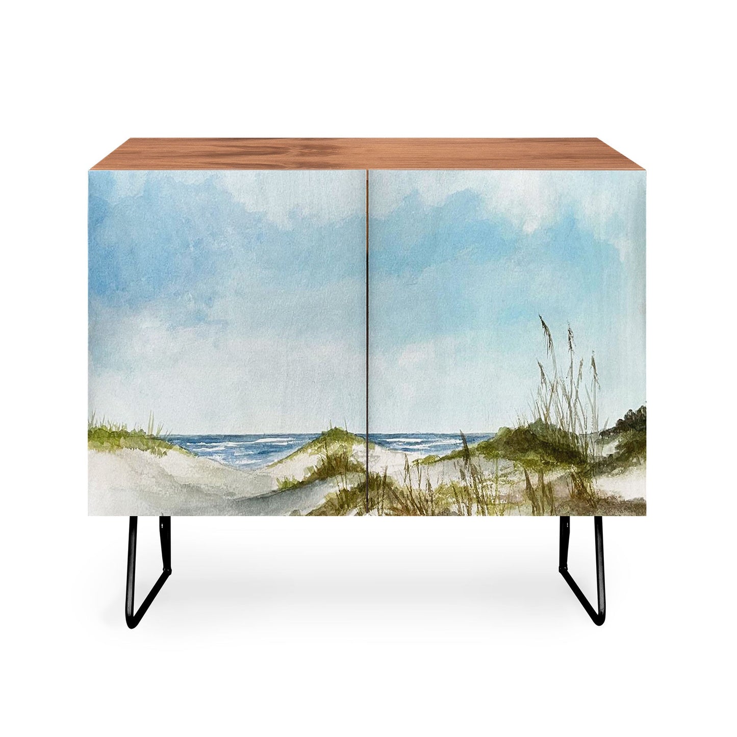 Rosie Brown Beyond the Dunes Credenza