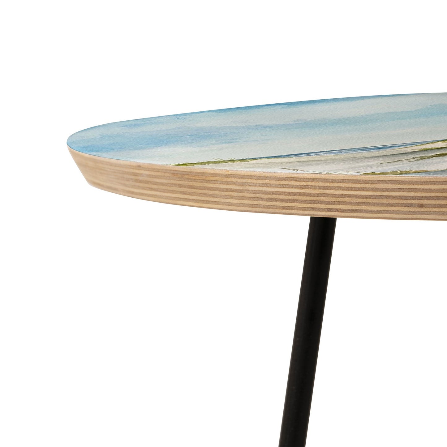 Rosie Brown Beyond the Dunes Round Side Table