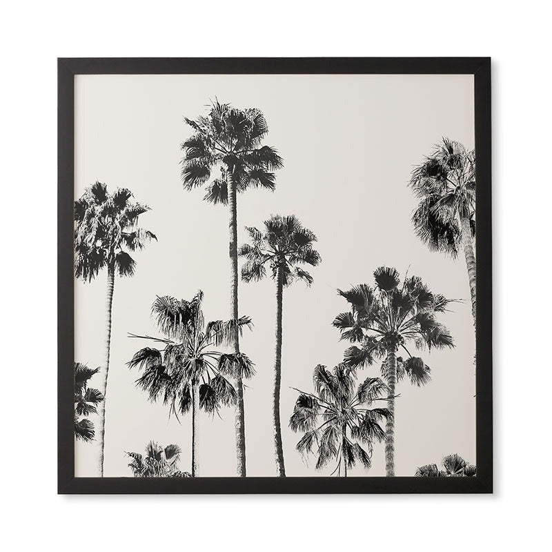 Gal Design Black And White Palms Framed Wall Art