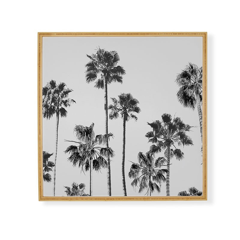 Gal Design Black And White Palms Framed Wall Art