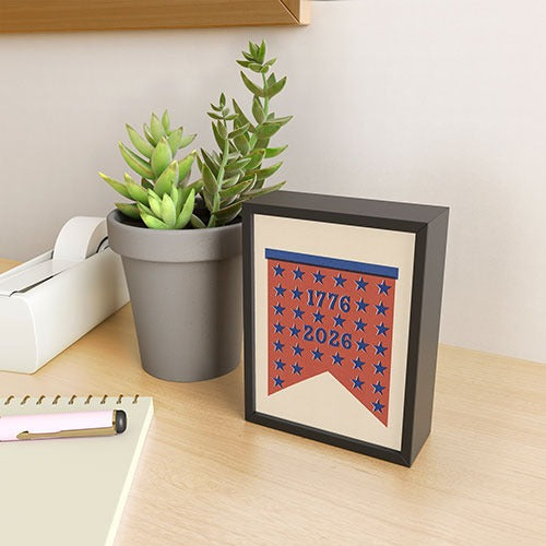 DENY Designs Star Banner Framed Mini Art Print