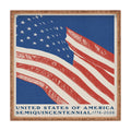 DENY Designs Stars n Stripes Semiquincentennial Square Tray