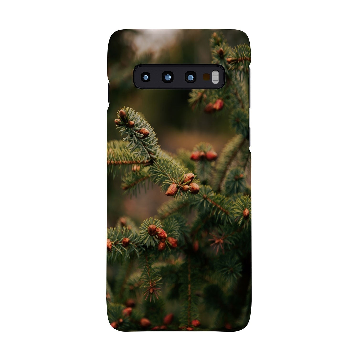 Hannah Kemp Spruce Tips Phone Case