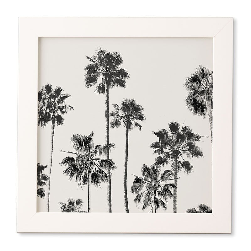 Gal Design Black And White Palms Framed Wall Art