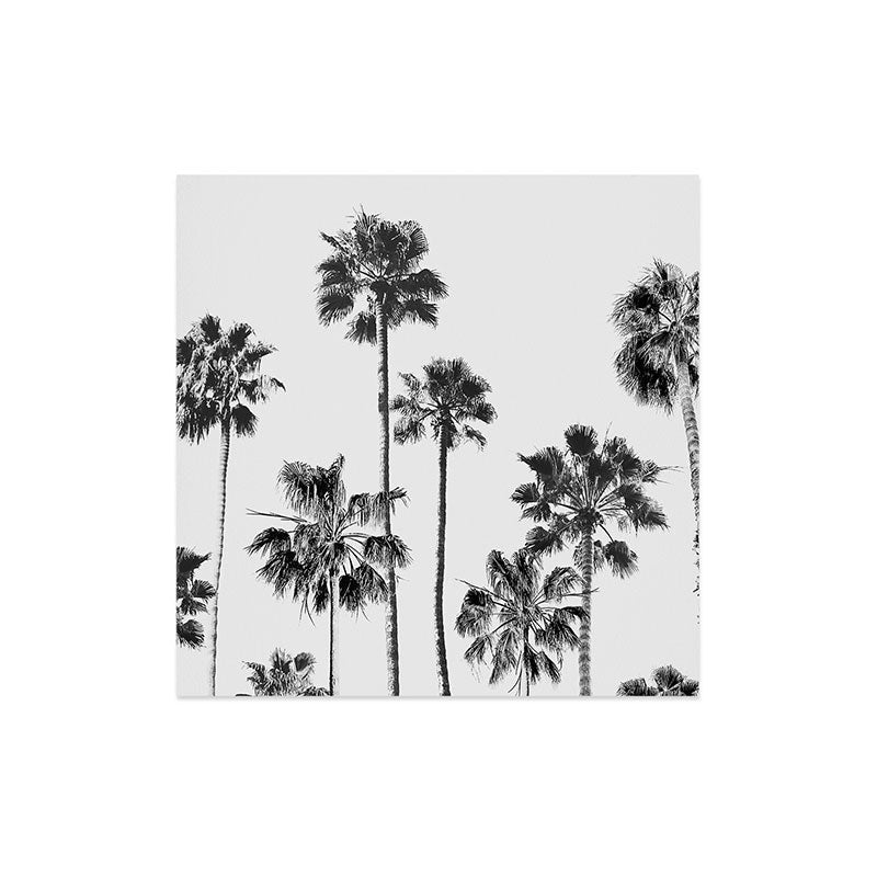 Gal Design Black And White Palms Art Print