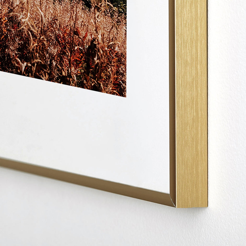 Hannah Kemp Homer Metal Framed Art Print